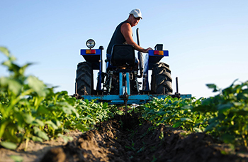 Eddy's Agro Organic Solutions